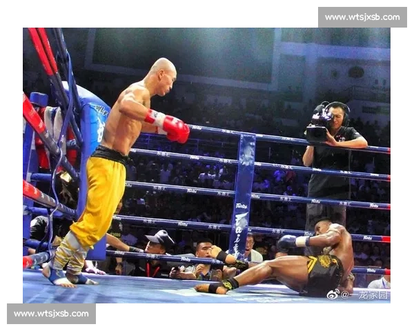 一龙巅峰对决再掀搏击热潮探秘传奇背后的坚持之旅全景解码